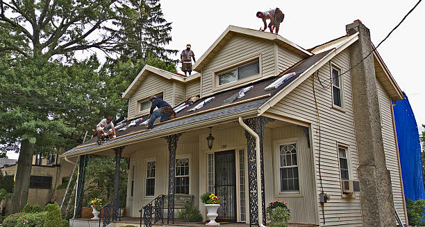 Best Roof Gutter Cleaning  in New Chicago, IN